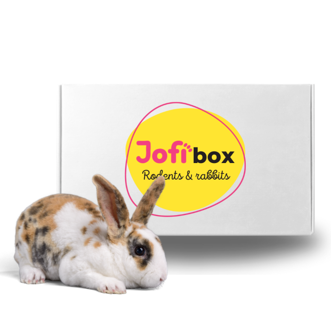 Jofi Box hlodavci a králíci, Květen