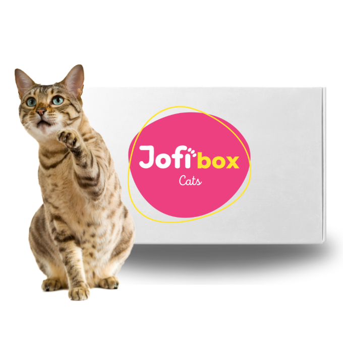 Jofi Box kočky, Květen