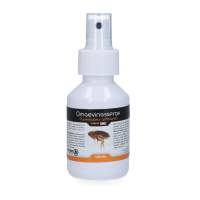 Knock Pest Ambient Spray 100 ml