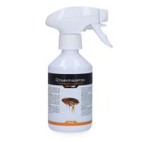 Knock Pest Ambient Spray 250 ml