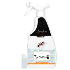 Knock Pest Ants Spray 500 ml