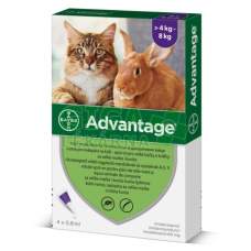 Advantage 80mg spot kočky+král.4x0,8ml
