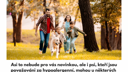 Nejlepší plemena psů pro alergiky