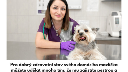 Běžné zdravotní problémy u psů a koček