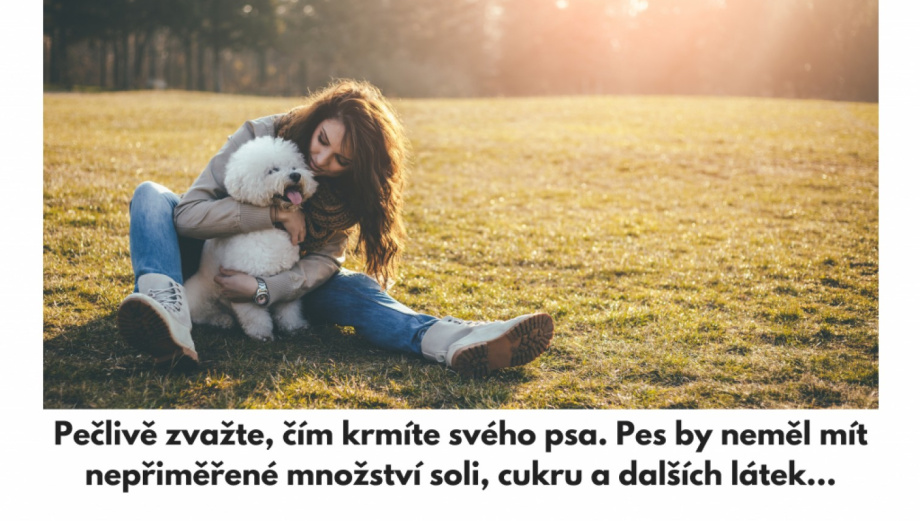 10 způsobů jak zlepšit život svého psa