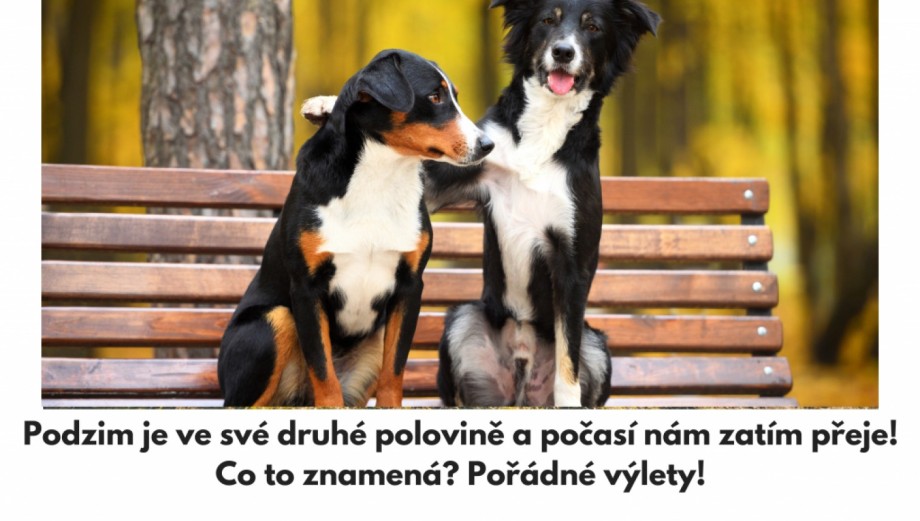 Kudy z nudy se psem (7)  | Se psem do přírody v ČR