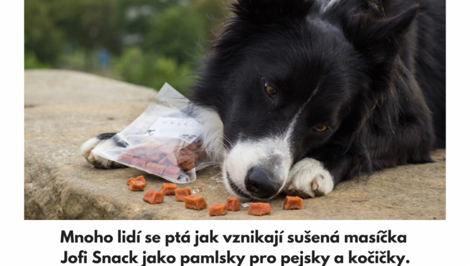 Jak vznikají sušená masíčka Jofisnack