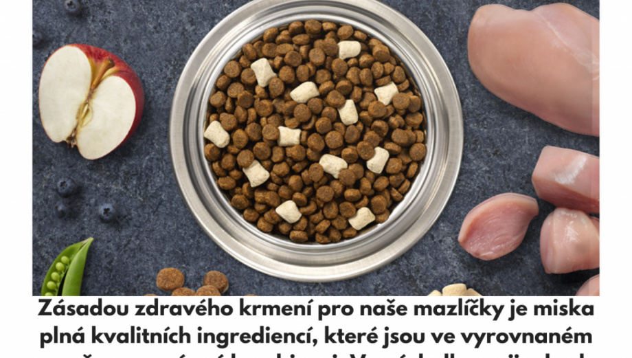 Granule bez obilovin. Ano nebo ne?