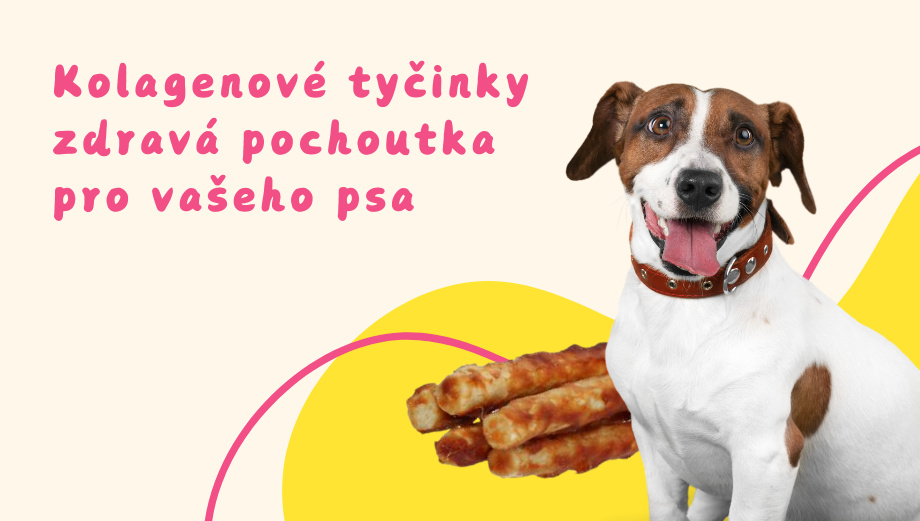 Kolagenové tyčinky – zdravá pochoutka pro vašeho psa