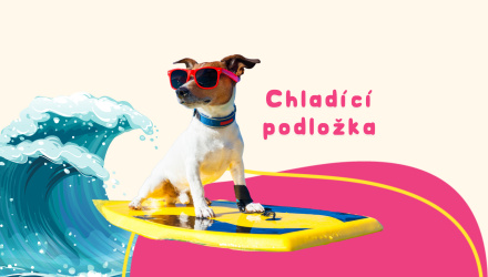 Chladící podložka, ano nebo ne?