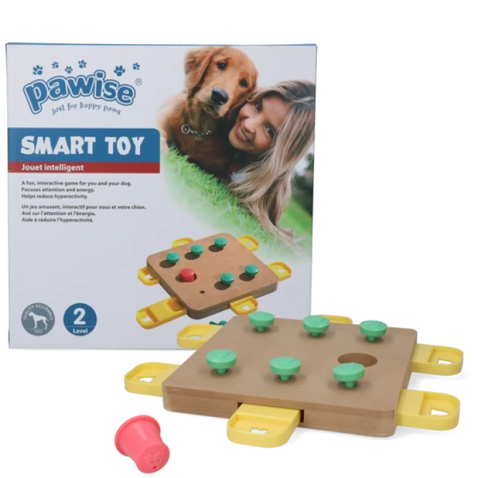 Pawise Smart Toy Puzzle, level 2