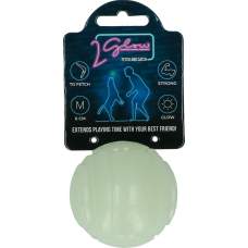 Hračka pro psy - 2 Glow Fetch & Play
