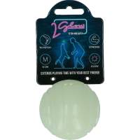 Hračka pro psy - 2 Glow Fetch & Play