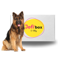 Jofi Box pro velké psy: 25+ kg, Velikonoce