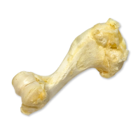 Jofi kost sušená M, cca 20cm