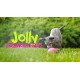 Jolly Pets Jolly Ball Bounce-n-Play 11 cm, modrá
