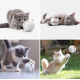 USB laser ball - Interaktivní hračka pro kočky, růžová