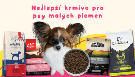 Nejlepší krmivo pro malá plemena: Komplexní průvodce výživou malých psů a tipy na krmení