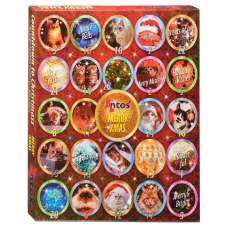 Antos Adventní kalendář kočka, 200g