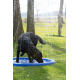 CoolPets psí kropící bazének, vel. 100cm