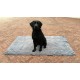 Doggy Dry rohožka M 66 x 91 cm