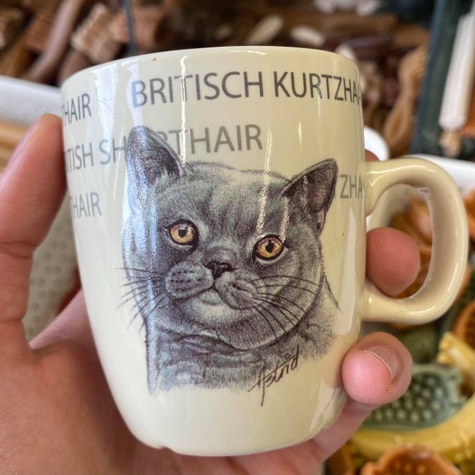 Hrnek Britská kočka S