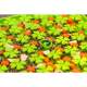 Snuffle Mat – Interaktivní podložka pro koně 50 x 50 cm