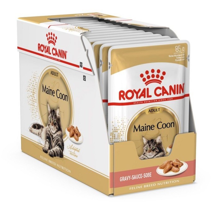 Royal Canin Maine Coon Adult kapsička 12 x 85 g