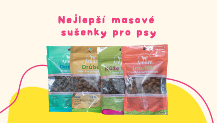 Nejlepší masové sušenky pro vašeho psího kamaráda: Průvodce