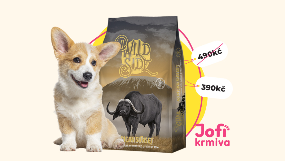 Končíme s Wild Side ale máme pro vás dobré zprávy